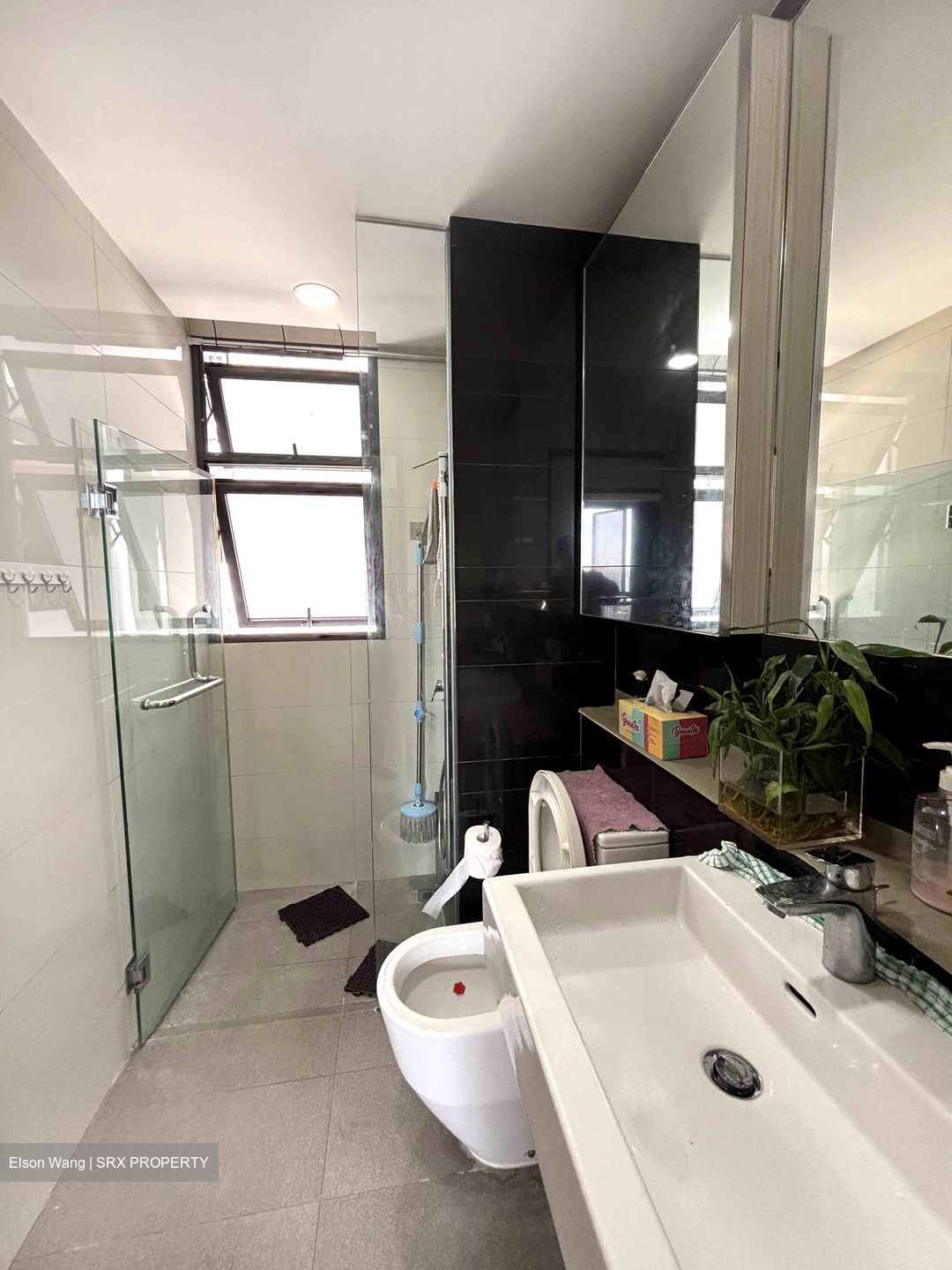 Gem Residences (D12), Condominium #490350711